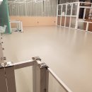 나랑애견유치원 이미지