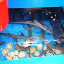 칠곡(부산) 이미지