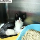 반석동물병원 이미지