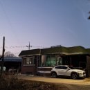 멍멍이달린다