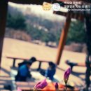 소풍김밥 - 중구 다산로44길 99 | 소풍김밥