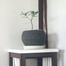 아이스숍