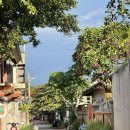 레지나 | 길리맛집 🇮🇩 길리트라왕안 피자 모음 zip : 레지나피자 vs 프란체스코피자 비교 후기