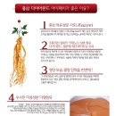 정삼당 - 보령시 먹방계곡길 172 | 정삼당