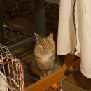 JH풀하우스 | [가평] 서울근교 "JH웨스턴 글램핑" 리버뷰 2박 3일 후기 (1일차)