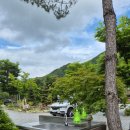 우든브릿지 이미지