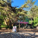 덕산카정비 Daum카페