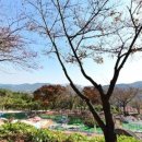 지리산석대원 티스토리