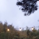 오죽원