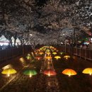 진해구 ⓒ-27 이미지