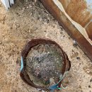 바른정비서비스(1급) 이미지