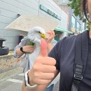 비스트로피자 동구점 | 6월