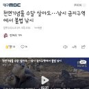 천연기념물 수달 살아도···낚시 금지구역에서 불법 낚시 이미지