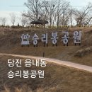 당진워터프리아 | 당진 승리봉공원 주차 아이랑 산책하기 좋은 당진공원 추천