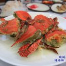 몽산포바다횟집 이미지