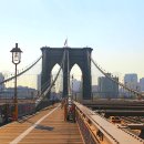 로즈마리민박 이미지