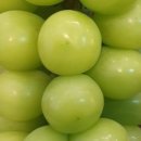 과수원청과 - 군산시 수송로 56 | 과수원청과