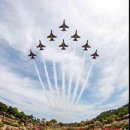 (주)신한 | 강원 봄 축제 계획 중이라면, 삼척 장미축제 이찬원 폴킴 공연 명당 자리 잡는 법