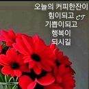 100세의료기 이미지