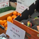 평택착한과일 | 평택 붕어빵 맛집 나예착한과일 토요일 웨이팅 정보, 주문방법 내돈내산 존맛탱 후기