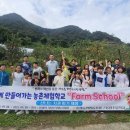 보아스 팜 스테이 이미지