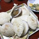 사천만수산