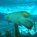 부산해양박물관 이미지