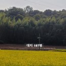 온동마을회관 이미지