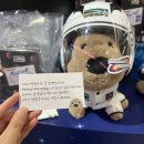 현대애견사료 이미지