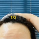 타스헤어 티스토리