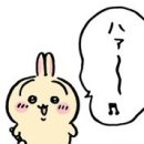 슬립랜드 이미지