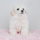 오목교역 6번출구 이미지