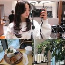 2414 | 반포미용실 차홍룸 반포점 클리닉 잘하는곳 이호선디자이너 하이레이어드컷 후기