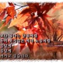 첫눈에반하다 이미지