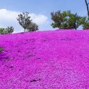 호암가든 이미지