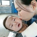 콤포스텔라별들의들판