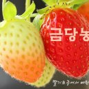 위즈캐슬어린이집 이미지