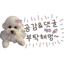 름이상점 이미지