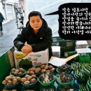 이성열야채 네이버블로그