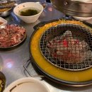 송우마포갈매기 이미지
