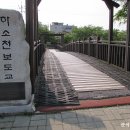 제천 하소천(금계국)-제천비행장(유채꽃) 25년 05월 31일 (토) 오후 이미지