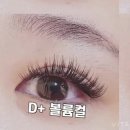 비비드아이래쉬