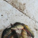 척산낚시터 이미지