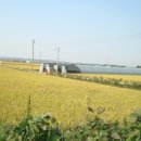 황금뜰농장 이미지