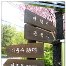 앞산공원 이미지