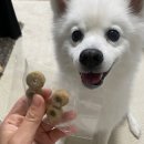 솜리국밥집 이미지