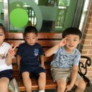 푸른숲약국 이미지