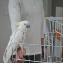 위즈숲유치원 이미지