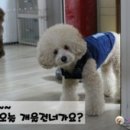 개울건너 펜션 이미지