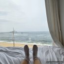 테라스마크 | 강릉 숙소 추천, 테라스마크 후기 (모듬회 룸서비스 + 갈매기 다방)